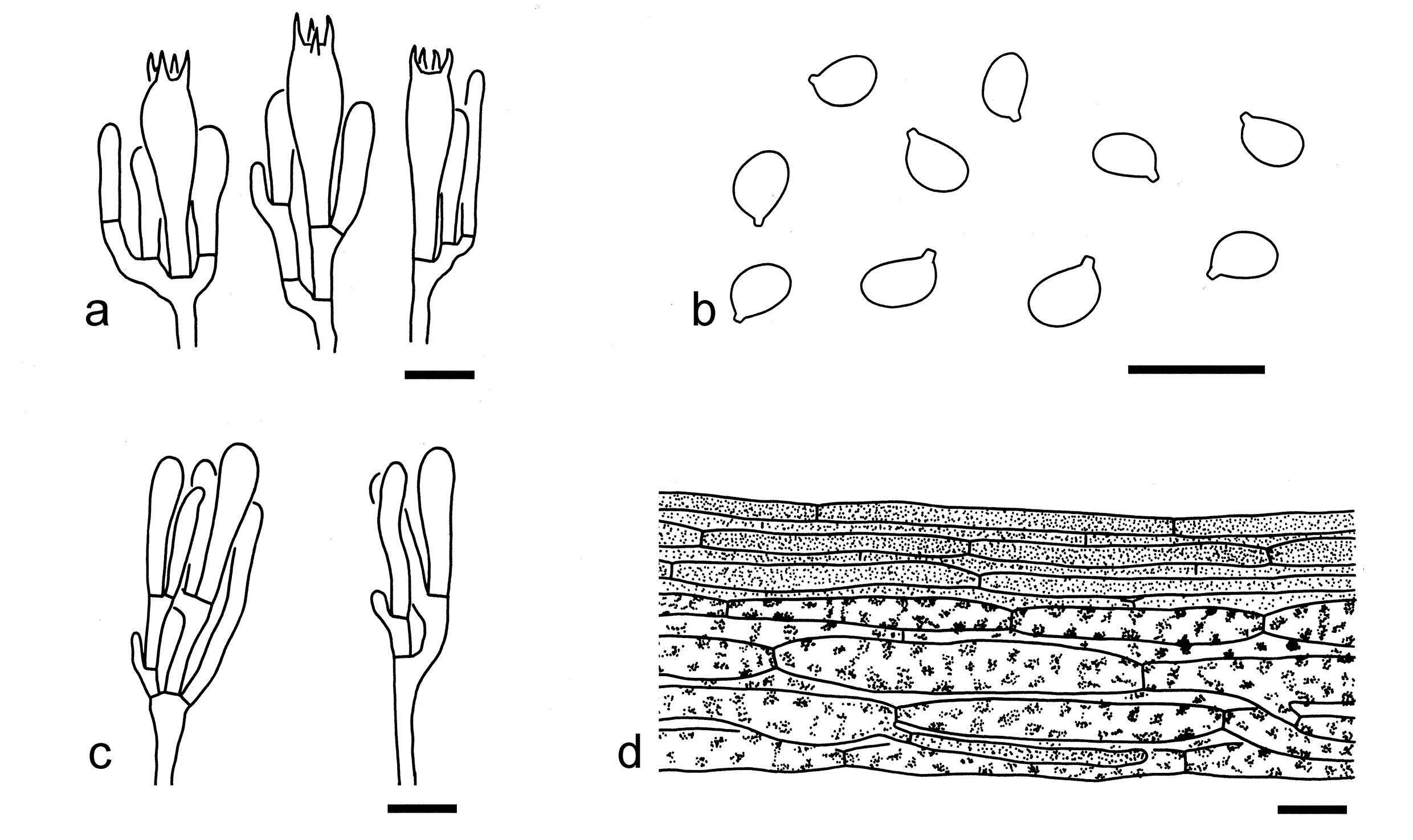 Figure 44